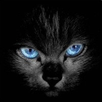 狂魔哥解说