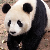 烟火人间